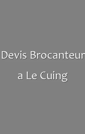 Devis Brocanteur a Le Cuing