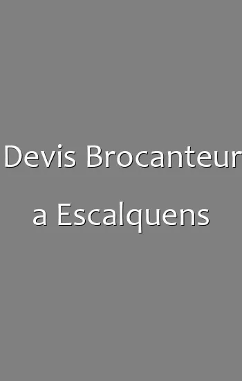Devis Brocanteur a Escalquens