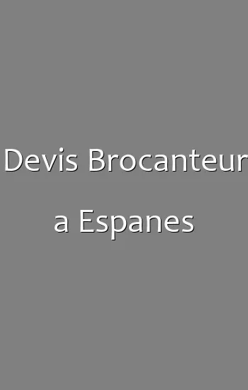 Devis Brocanteur a Espanes