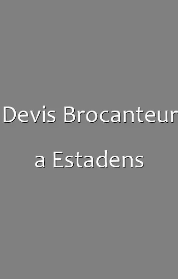 Devis Brocanteur a Estadens