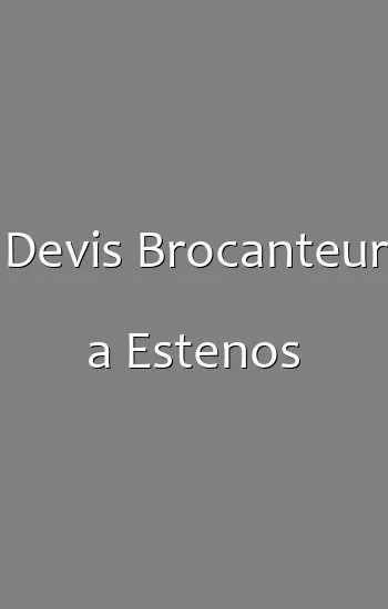 Devis Brocanteur a Estenos