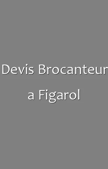 Devis Brocanteur a Figarol