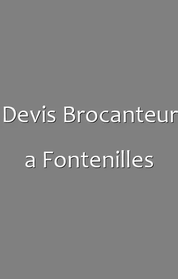Devis Brocanteur a Fontenilles
