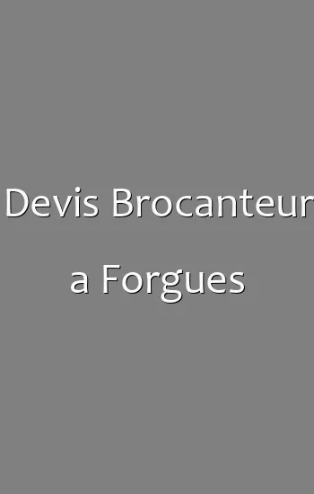 Devis Brocanteur a Forgues