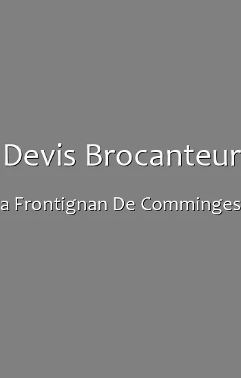 Devis Brocanteur a Frontignan De Comminges