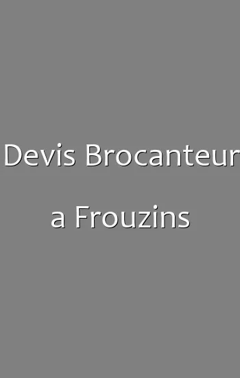 Devis Brocanteur a Frouzins