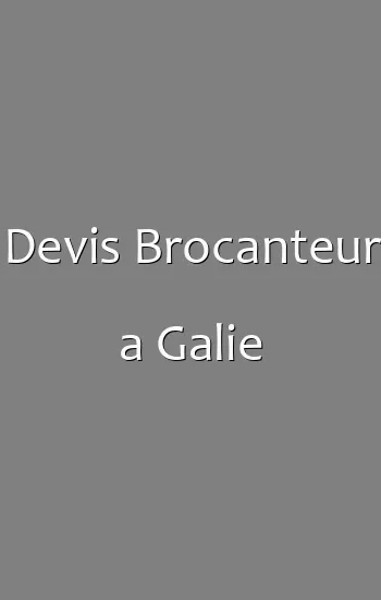 Devis Brocanteur a Galie