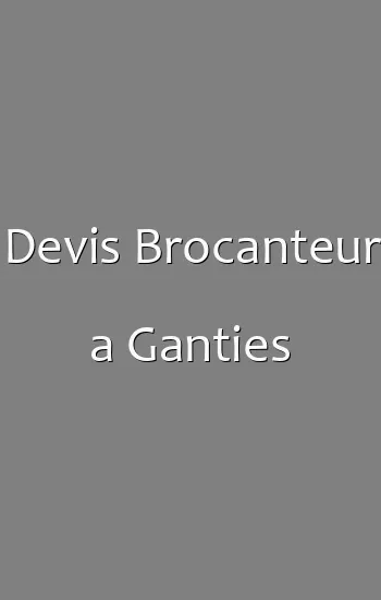 Devis Brocanteur a Ganties