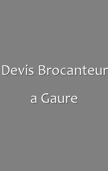 Devis Brocanteur a Gaure
