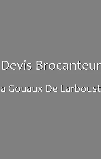 Devis Brocanteur a Gouaux De Larboust