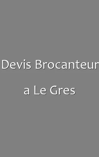 Devis Brocanteur a Le Gres
