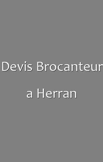 Devis Brocanteur a Herran