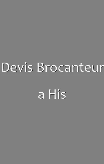 Devis Brocanteur a His