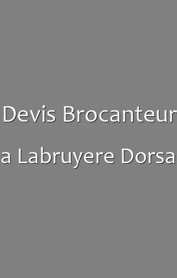 Devis Brocanteur a Labruyere Dorsa
