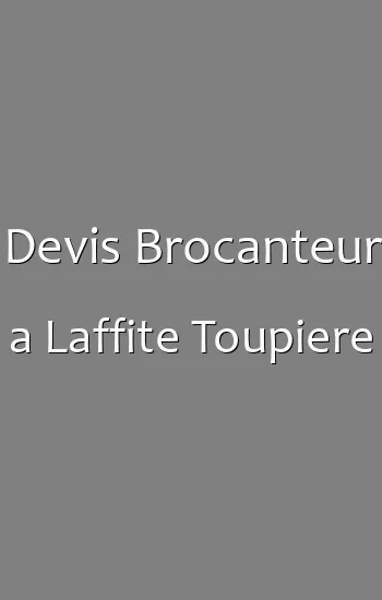 Devis Brocanteur a Laffite Toupiere