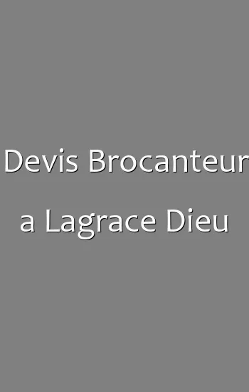 Devis Brocanteur a Lagrace Dieu