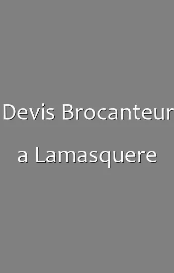 Devis Brocanteur a Lamasquere