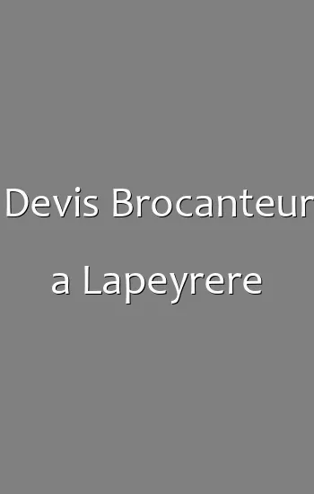 Devis Brocanteur a Lapeyrere