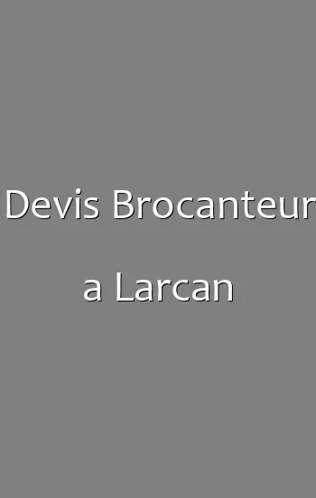Devis Brocanteur a Larcan