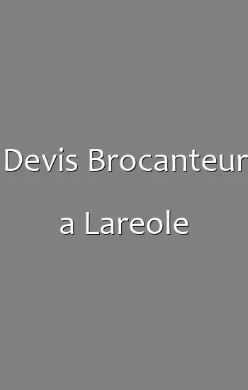 Devis Brocanteur a Lareole