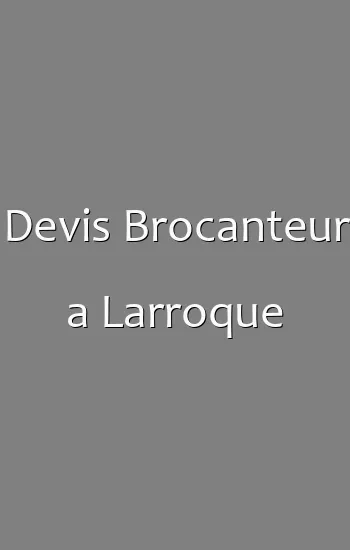 Devis Brocanteur a Larroque