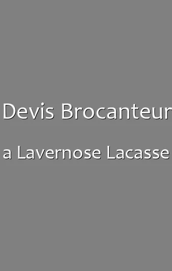 Devis Brocanteur a Lavernose Lacasse