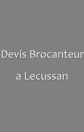 Devis Brocanteur a Lecussan