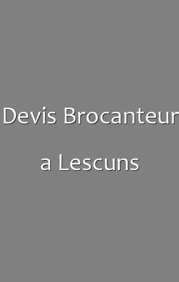 Devis Brocanteur a Lescuns