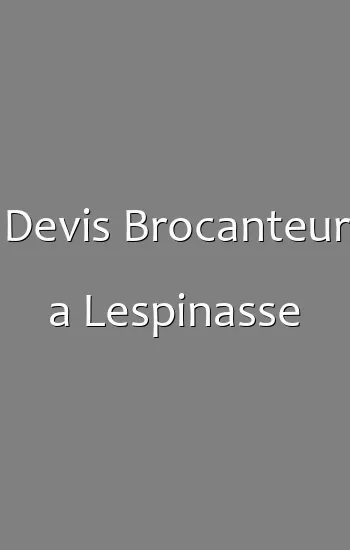 Devis Brocanteur a Lespinasse
