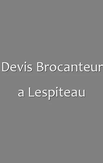 Devis Brocanteur a Lespiteau