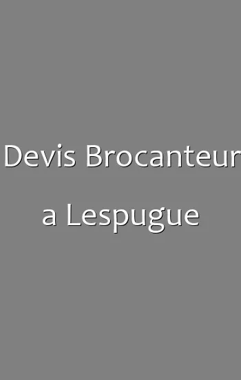 Devis Brocanteur a Lespugue
