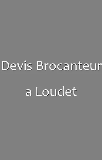 Devis Brocanteur a Loudet