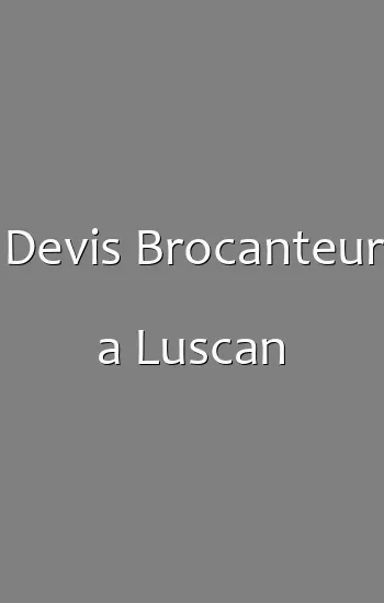 Devis Brocanteur a Luscan