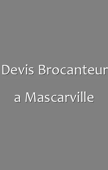 Devis Brocanteur a Mascarville
