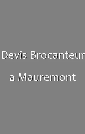 Devis Brocanteur a Mauremont
