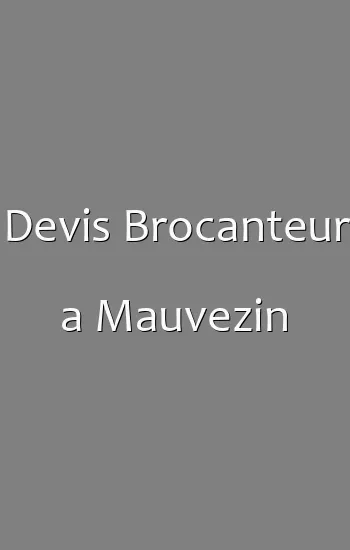 Devis Brocanteur a Mauvezin