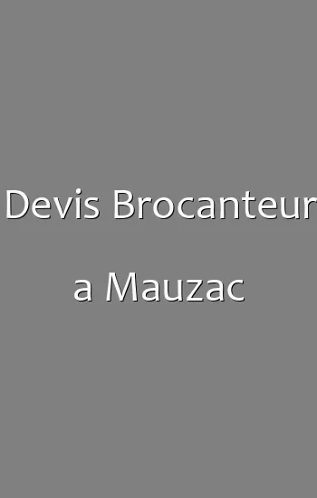 Devis Brocanteur a Mauzac