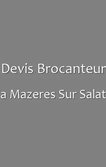 Devis Brocanteur a Mazeres Sur Salat