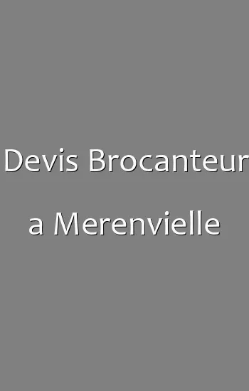Devis Brocanteur a Merenvielle