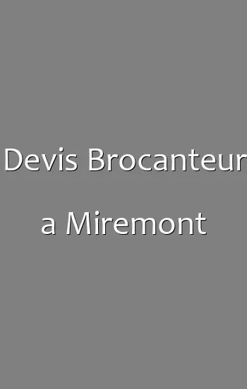 Devis Brocanteur a Miremont