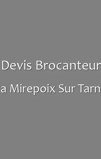 Devis Brocanteur a Mirepoix Sur Tarn