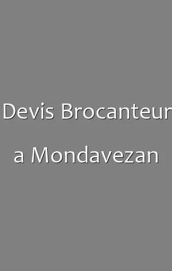 Devis Brocanteur a Mondavezan