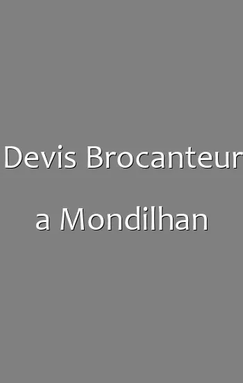 Devis Brocanteur a Mondilhan