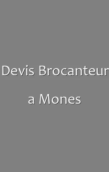 Devis Brocanteur a Mones