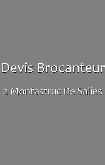 Devis Brocanteur a Montastruc De Salies