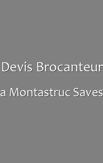 Devis Brocanteur a Montastruc Saves