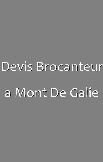 Devis Brocanteur a Mont De Galie