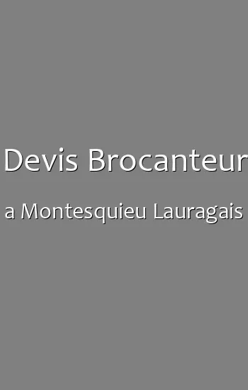 Devis Brocanteur a Montesquieu Lauragais