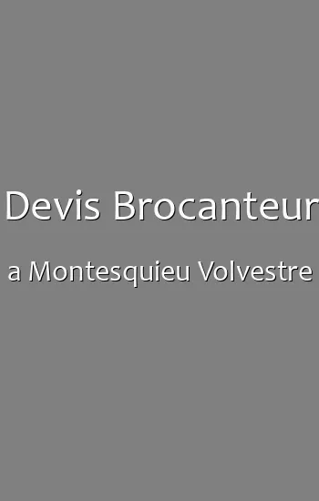 Devis Brocanteur a Montesquieu Volvestre