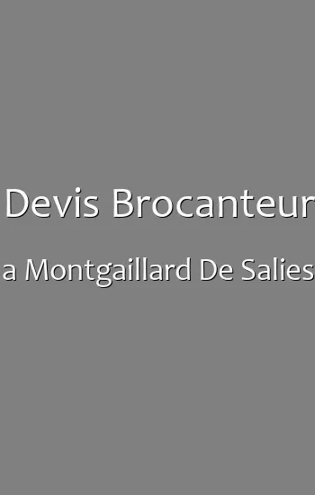 Devis Brocanteur a Montgaillard De Salies